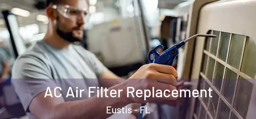 AC Air Filter Replacement Eustis - FL