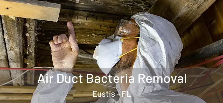 Air Duct Bacteria Removal Eustis - FL