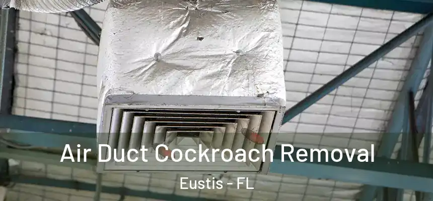 Air Duct Cockroach Removal Eustis - FL