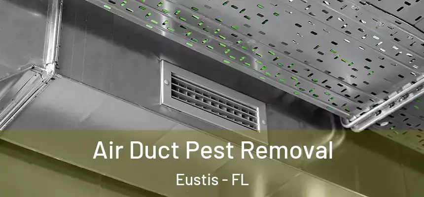 Air Duct Pest Removal Eustis - FL