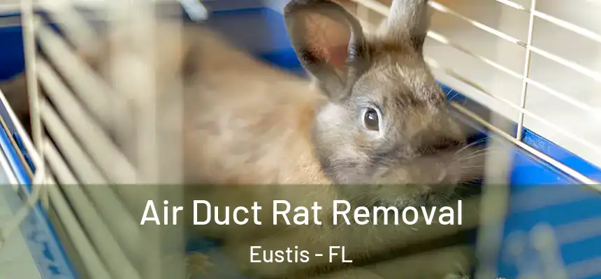 Air Duct Rat Removal Eustis - FL