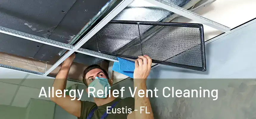 Allergy Relief Vent Cleaning Eustis - FL