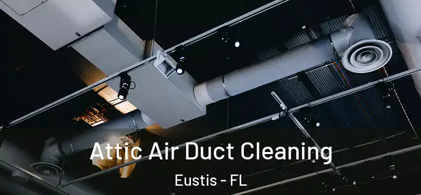 Attic Air Duct Cleaning Eustis - FL