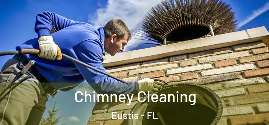 Chimney Cleaning Eustis - FL