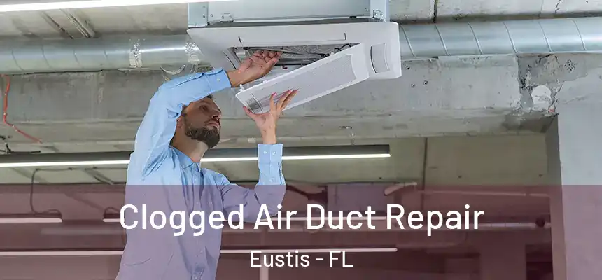 Clogged Air Duct Repair Eustis - FL