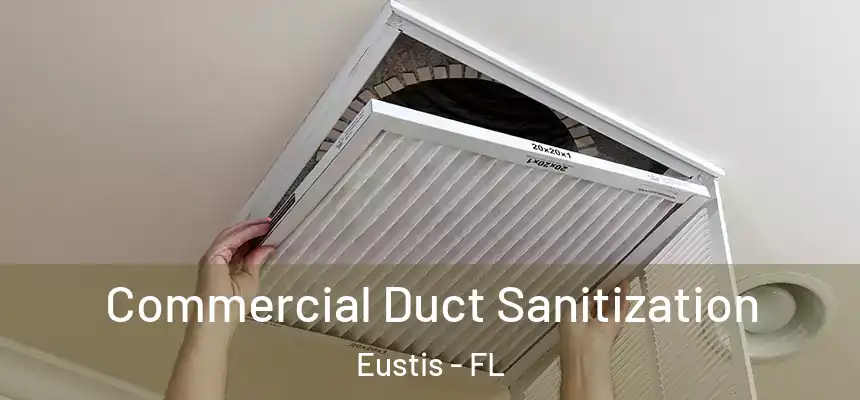 Commercial Duct Sanitization Eustis - FL
