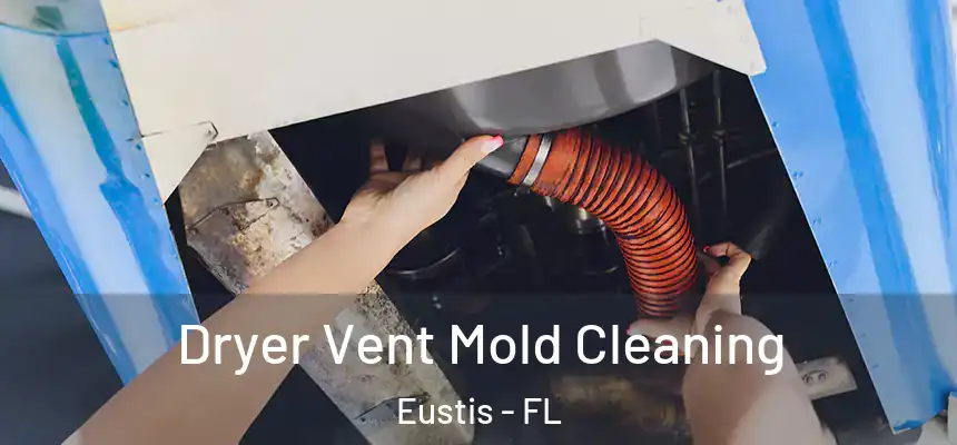 Dryer Vent Mold Cleaning Eustis - FL