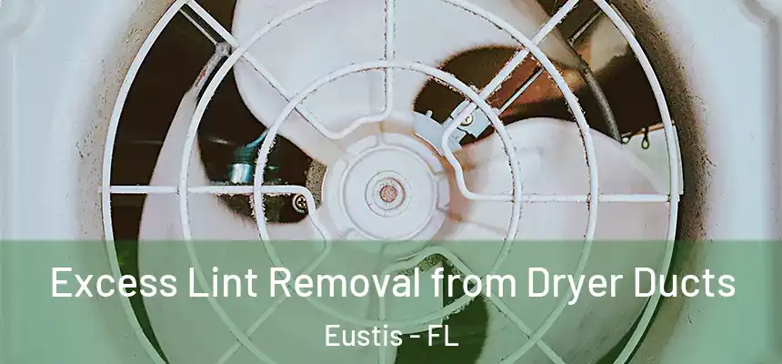 Excess Lint Removal from Dryer Ducts Eustis - FL
