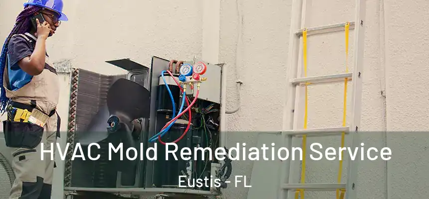 HVAC Mold Remediation Service Eustis - FL
