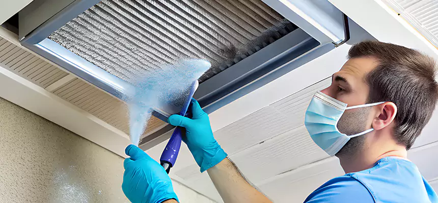 Proactive Dryer Vent & Auxiliary Duct Pollen Cleanup in Eustis, FL