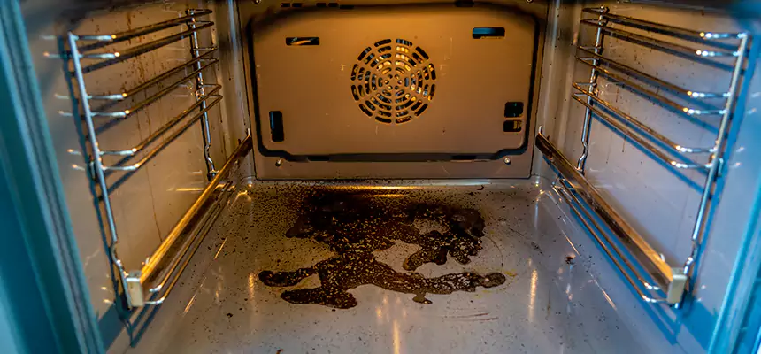 Our Air Purifier Installation Services in Eustis, FL