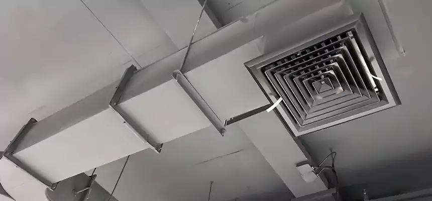 Restorative Allergy Relief Vent Cleaning – Coil, Blower & Housing Detail in Eustis