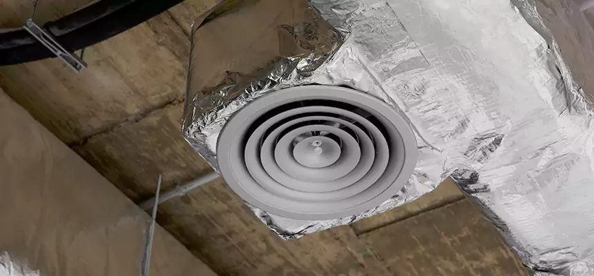 Our Excess Lint Removal from Dryer Ducts Services in Eustis, FL