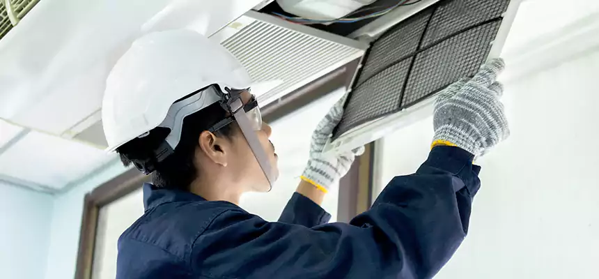 Our Mold & Mildew Removal from Air Ducts Services in Eustis, FL