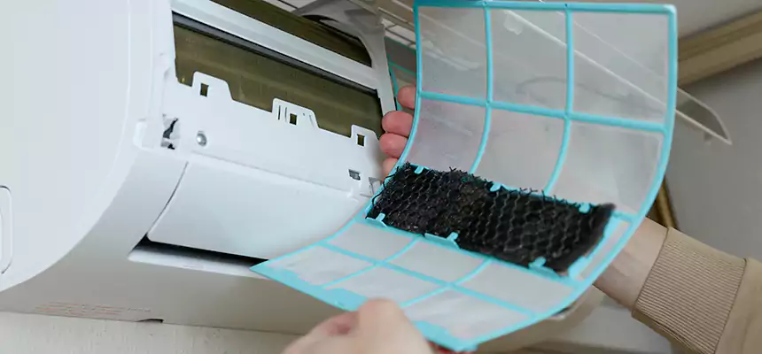 Gentle Ductwork Odor-Control Pet Dander Duct Cleaning in Eustis, FL