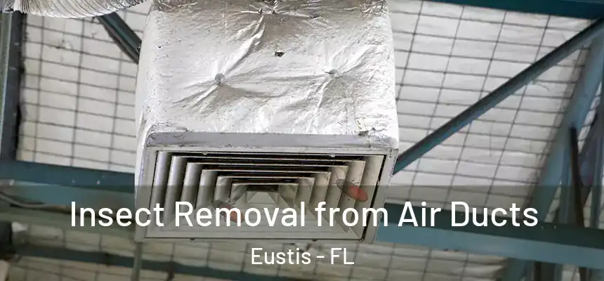 Insect Removal from Air Ducts Eustis - FL