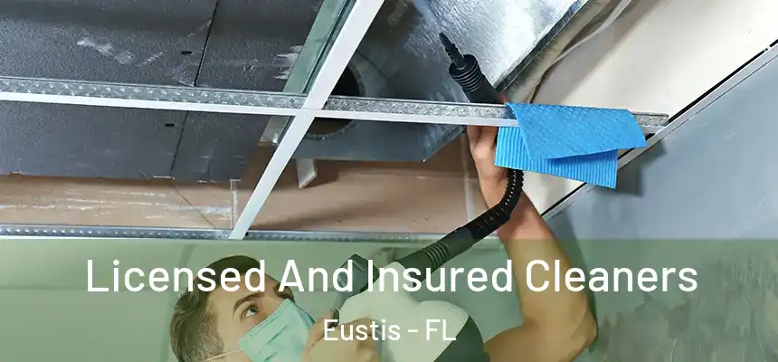 Licensed And Insured Cleaners Eustis - FL