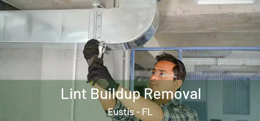 Lint Buildup Removal Eustis - FL