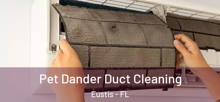 Pet Dander Duct Cleaning Eustis - FL