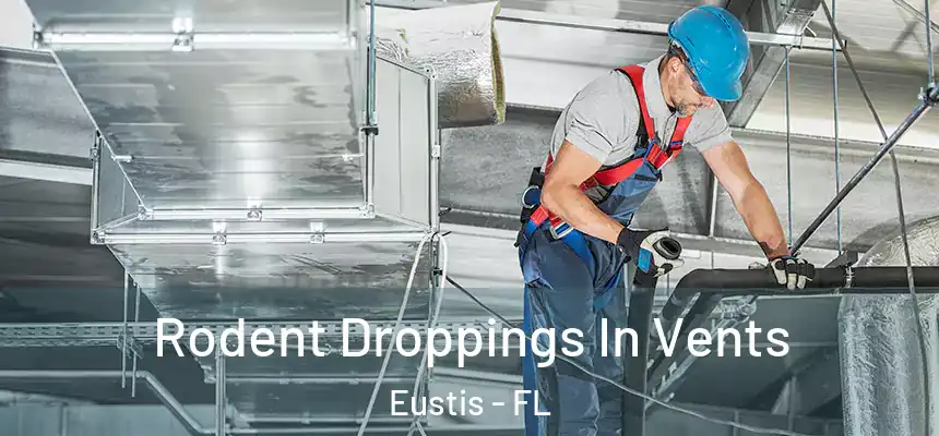 Rodent Droppings In Vents Eustis - FL