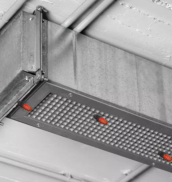 About Air Duct Cockroach Removal in Eustis, FL