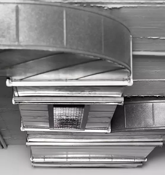 Professional Air Duct Pest Removal in Eustis, FL