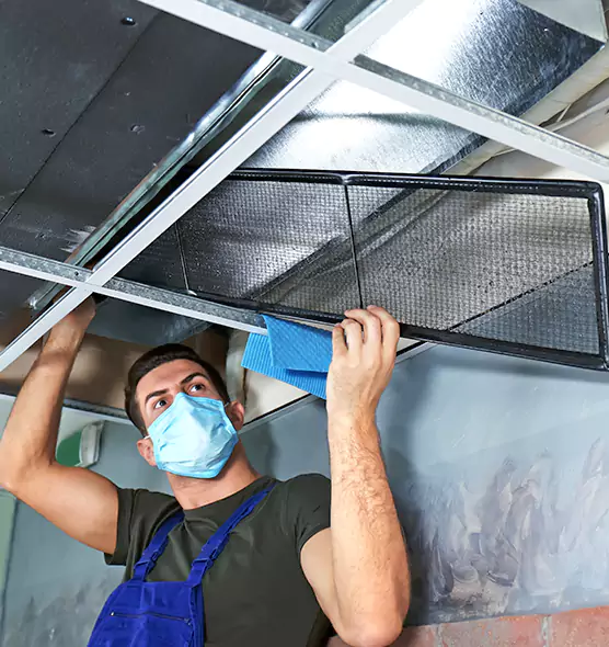 Professional Air Duct Pollen Cleaning in Eustis, FL