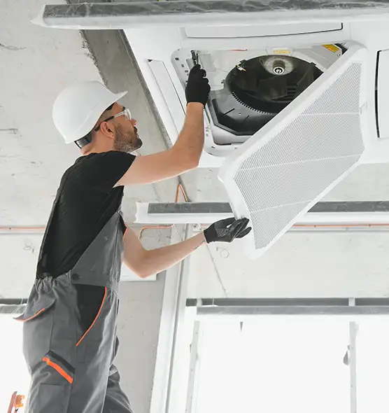 About Air Duct Rodent Removal in Eustis, FL