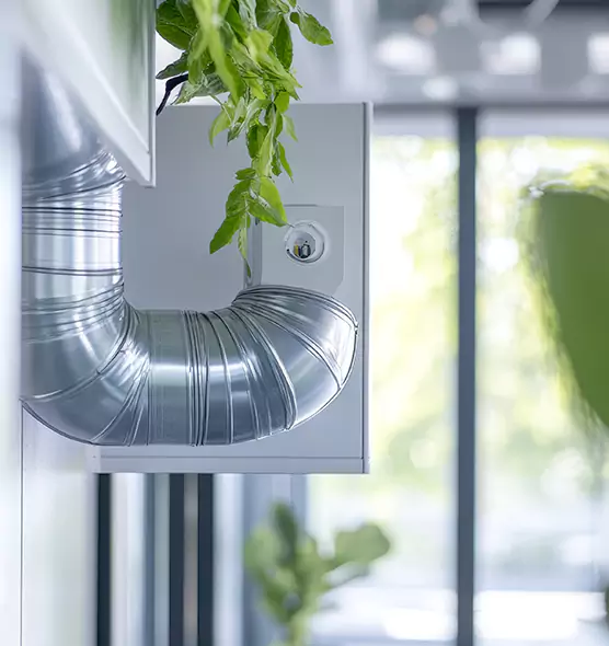 Professional Eco-Safe Dryer Vent Cleaning in Eustis, FL