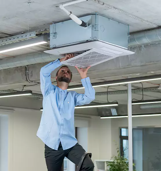 Advanced Rodent Droppings In Vents in Eustis, FL