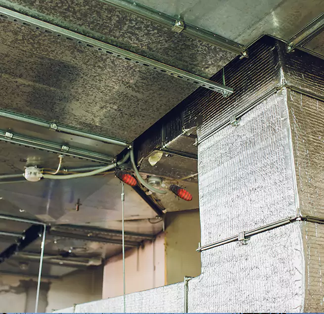 Why Homeowners & Businesses Trust Us in Eustis, FL?