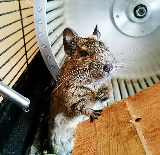 Why Homeowners & Businesses Trust Us Eustis, FL?