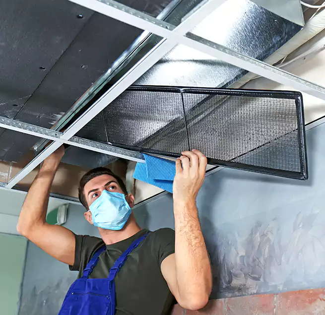 Why Homeowners Businesses Trust Us in Eustis, FL