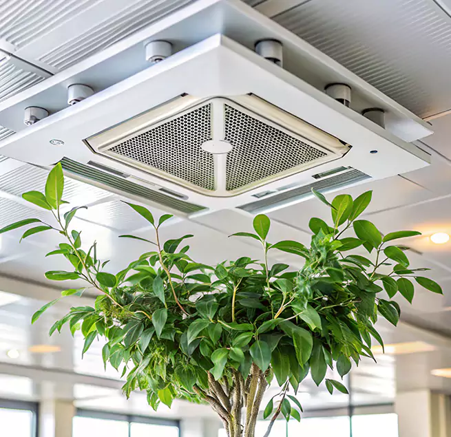 Why Homeowners & Businesses Trust Us in Eustis, FL