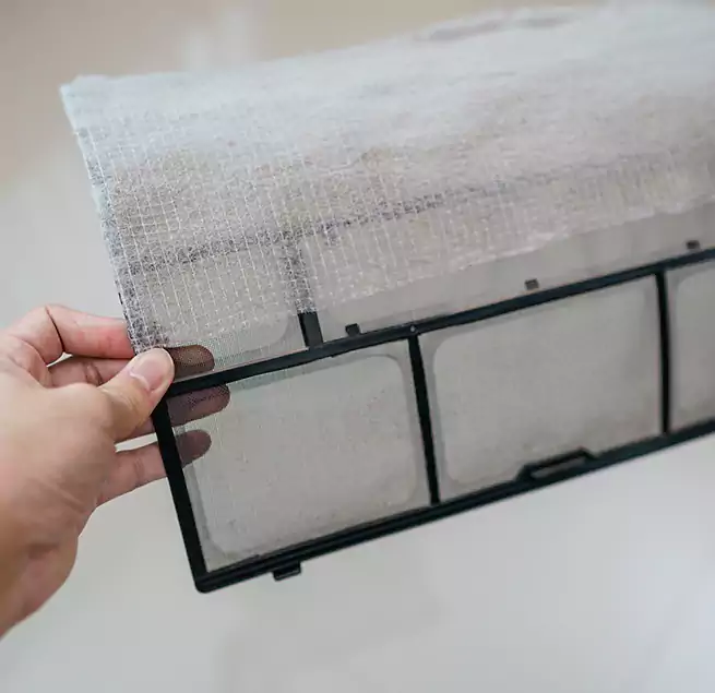 Why Homeowners & Businesses Trust Us in Eustis, FL?