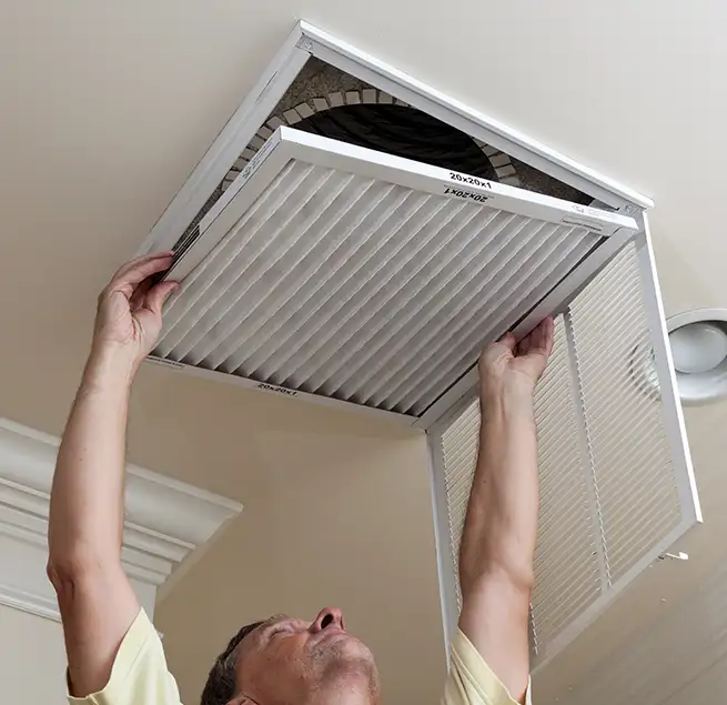 Why Homeowners & Businesses Trust Us in Eustis, FL?