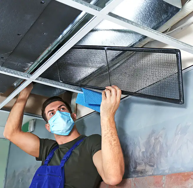 Why Homeowners & Businesses Trust Us in Eustis, FL?